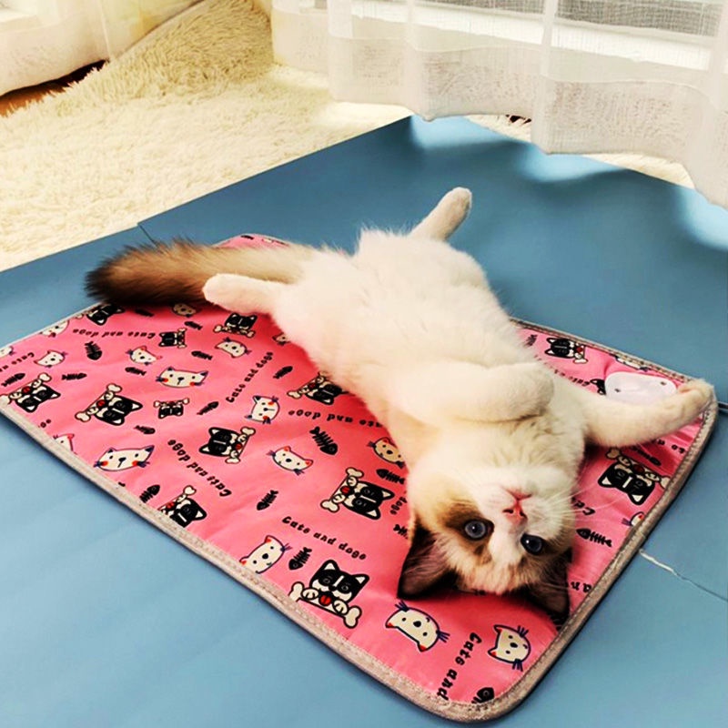 台灣 出貨貓咪電熱毯小型寵物加熱墊貓用冬天恒溫取暖器防水墊子狗狗加熱窩