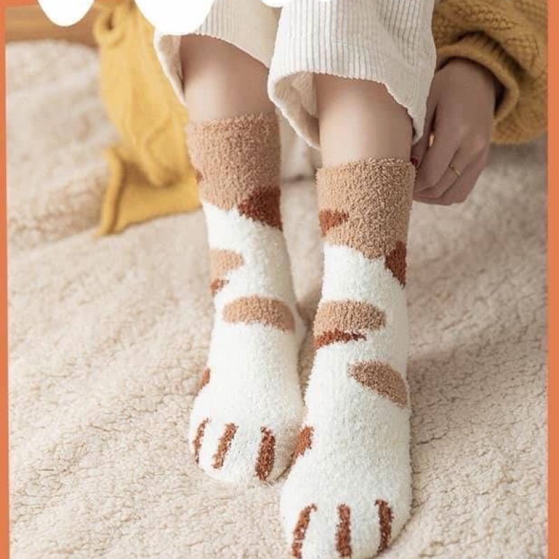 。。珊瑚絨貓爪襪。。