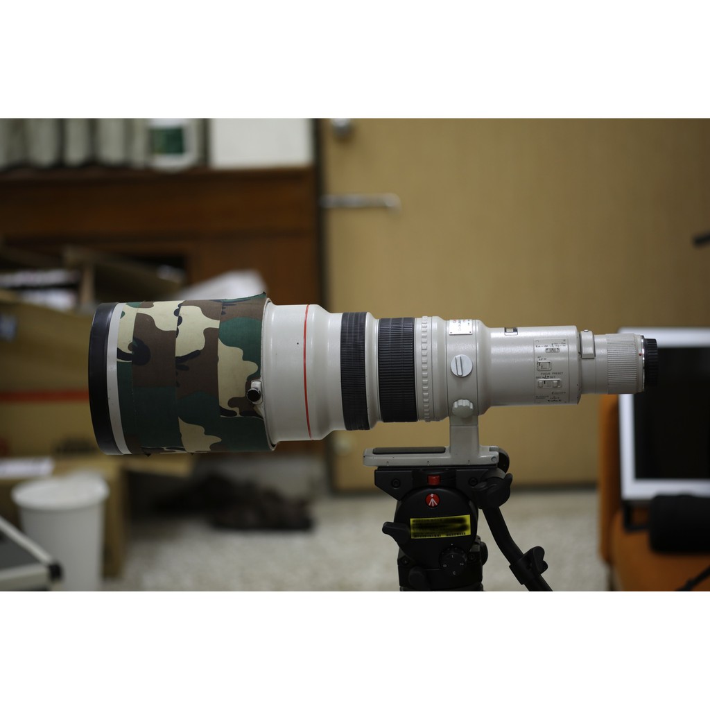 【暑假出清】Canon EF 600mm F4L USM 超望遠大砲鏡頭，非IS，八成新，小瑕疵廉讓～