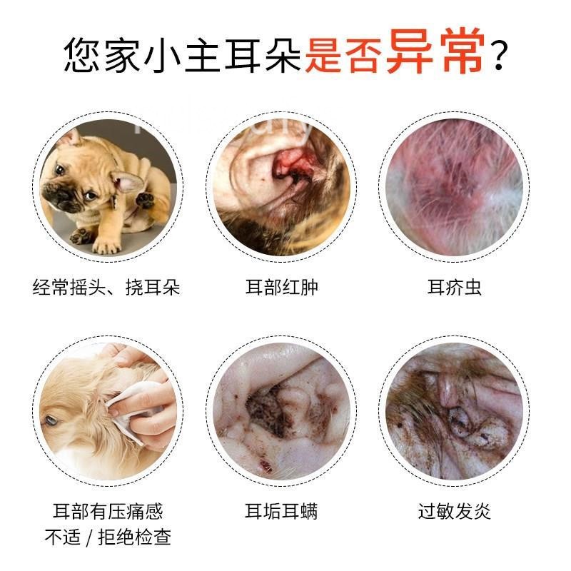現貨批發 狗狗耳蟎滴耳液泰迪耳蟎狗貓咪滴耳油寵物用品耳朵清潔狗狗滴耳液 蝦皮購物