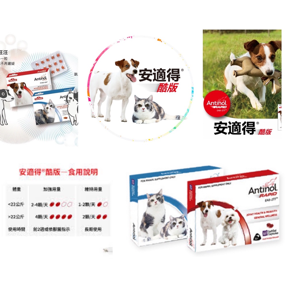 🐷圓圓晴🐷安適得 雷標酷版 新效60顆 犬貓 骨關節保養 台灣正版公司貨 不割標