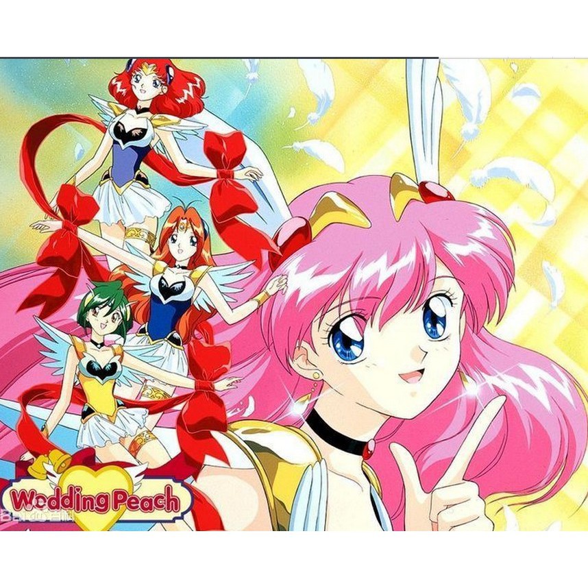 經典美少女動漫愛天使傳說（婚紗小天使）51話全國語雙碟DVD | 蝦皮購物