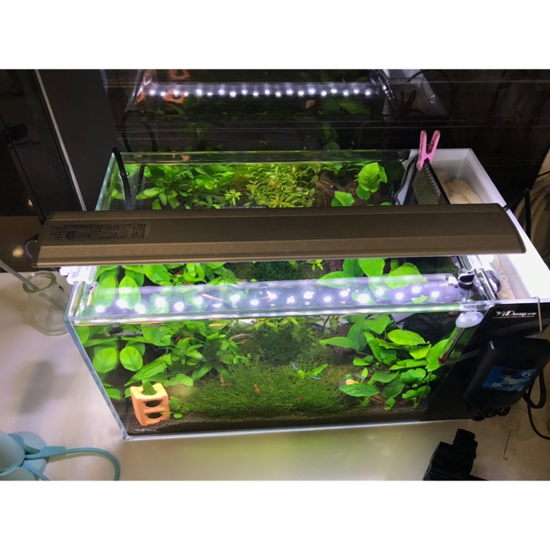 水草用led燈 雅柏pro Led Z 15水草用led燈 45cm 二手極新品 蝦皮購物