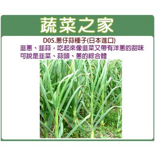 蔬菜之家滿額免運【00D05】大包裝.蔥仔蒜種子10克