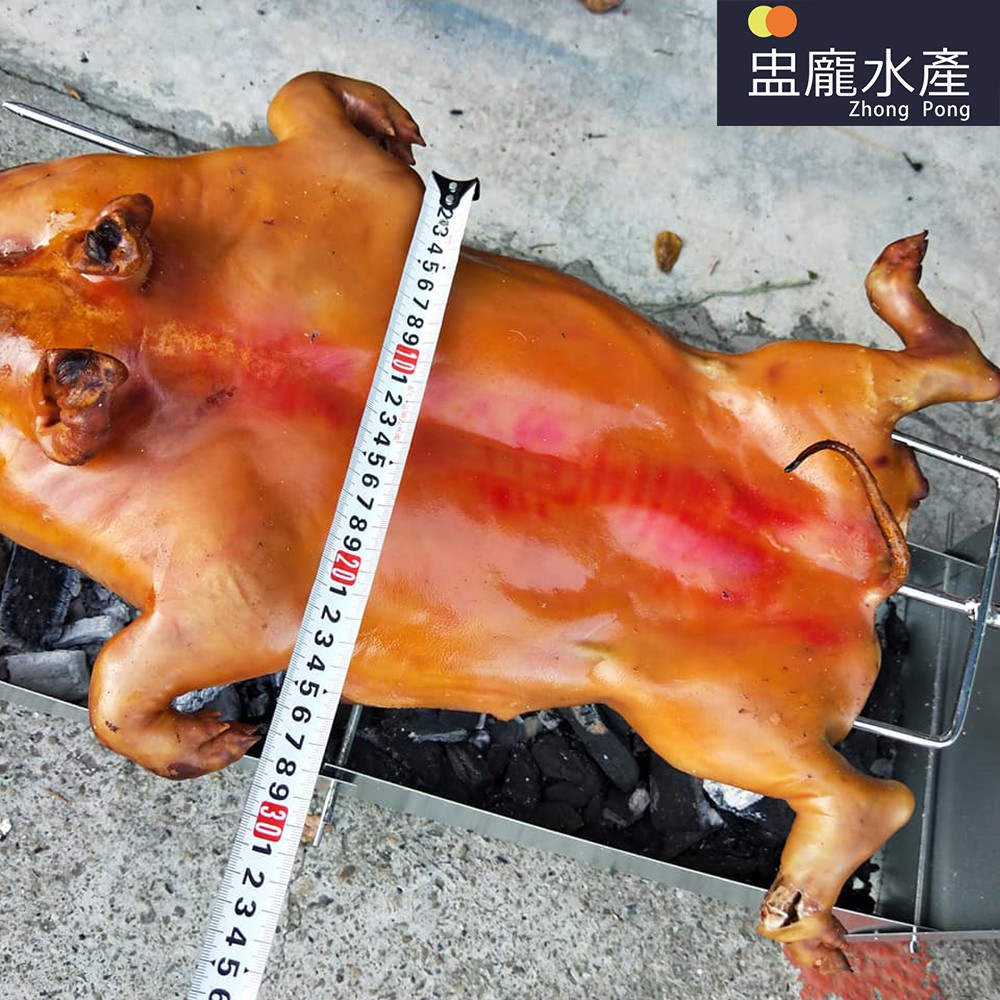 【盅龐水產】烤乳豬 - 3.5kg±5%/隻 【含運請獨立結單】(活動價) 雙霸