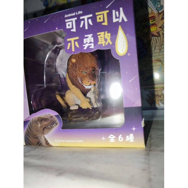 單賣 獅子 柴寶趣 正版 可不可以不勇敢 ANIMAL LIFE 研達 盒玩 朝隈俊男 W3-10 Y9-2