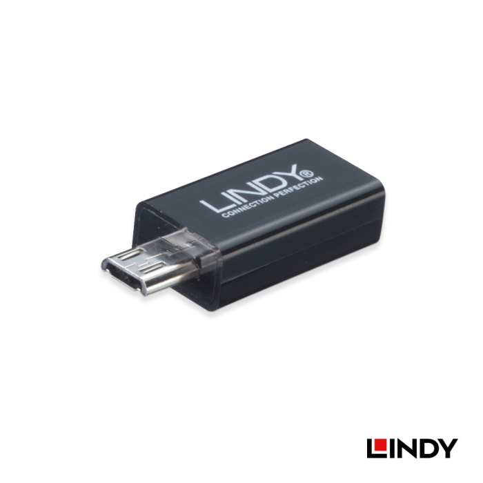LINDY 林帝 USB 2.0 Micro USB 5pin 轉 11pin 轉接頭 (41570)