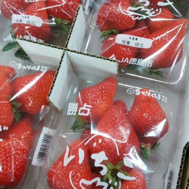 日本草莓