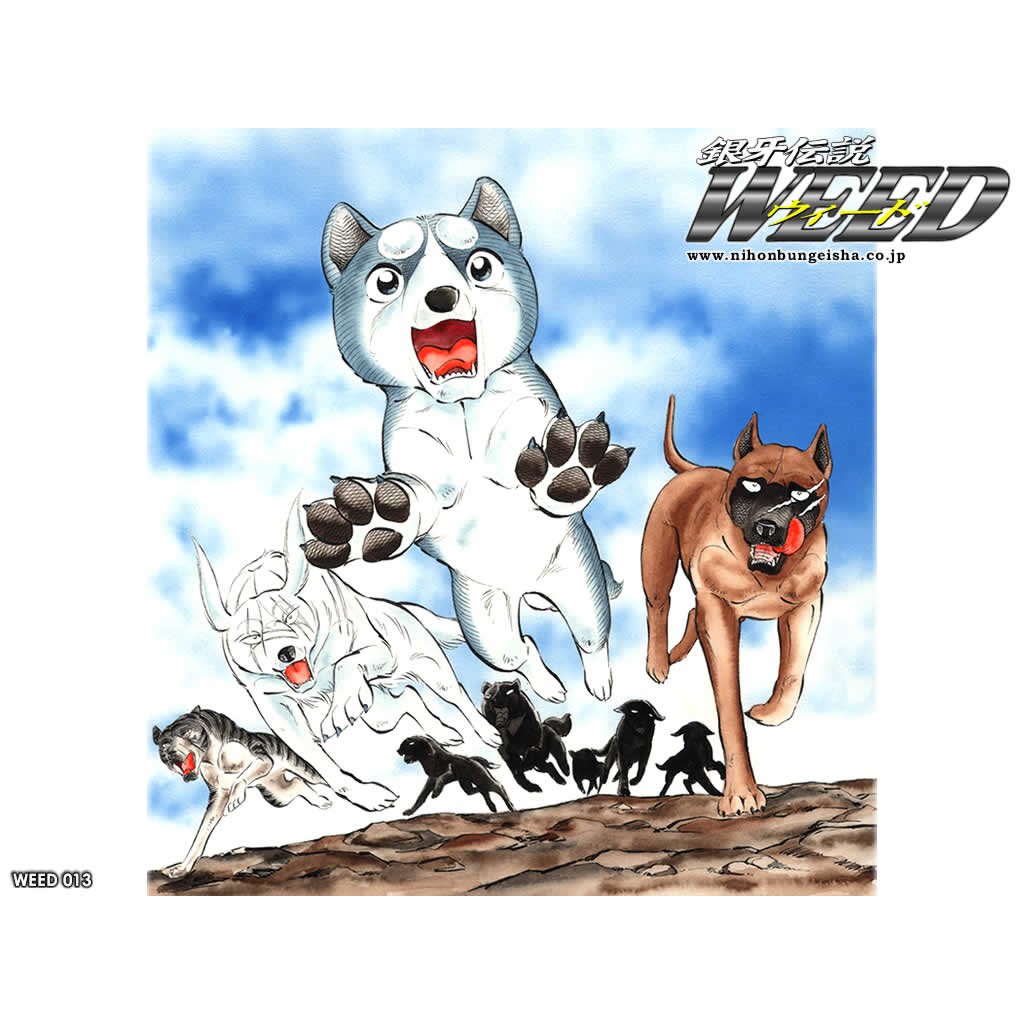 二手漫畫銀牙傳說weed 銀牙伝説ウィードginga Densetsu Wido 34 56 59集 書套書釘 蝦皮購物