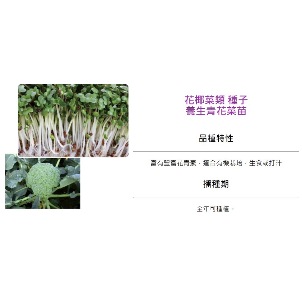 育材【開心田園樂】種子 養生青花菜苗(全年可種) 約5公克(g)