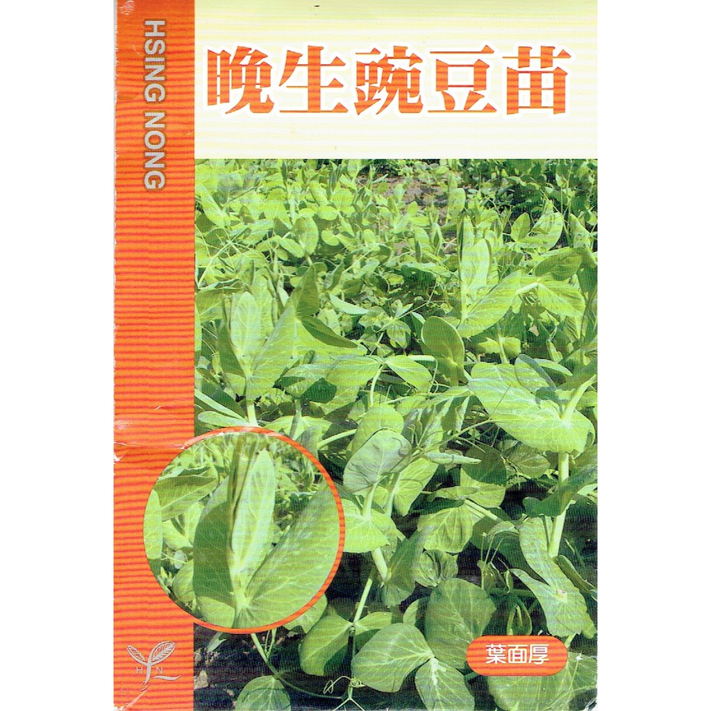 種子王國 晚生豌豆苗 豌豆苗【蔬菜種子】矮性品種 葉面厚 產量高 抗白粉病 興農種苗 原包裝種子 約10公克/包