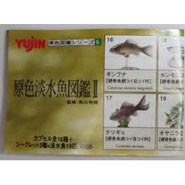 YUJIN 轉蛋原色淡水魚圖鑑II 鯽魚日本鰻鱺藍鰓太陽魚黑點多紀魨.河魨鰈魚.比目魚