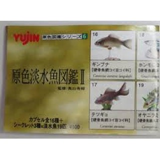 圖鑑淡水的價格推薦 21年12月 比價撿便宜