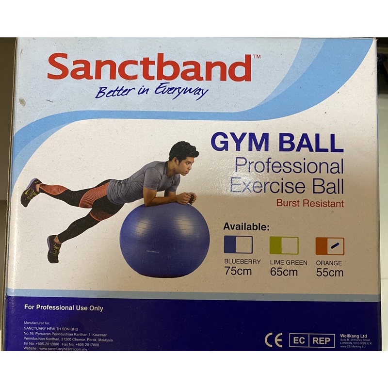 Sanctband GYM BALL健身球