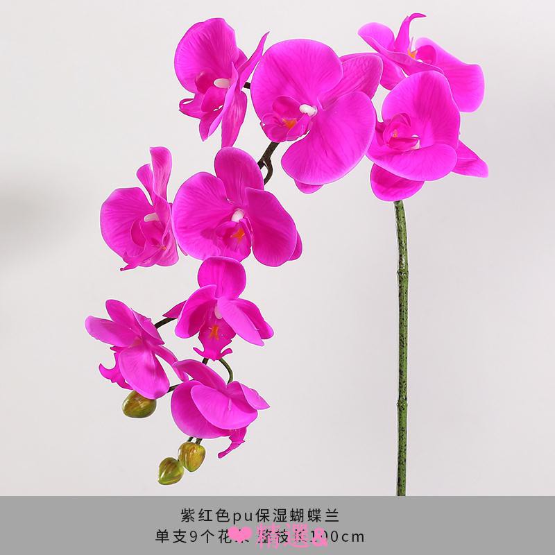 精選品質單枝蝴蝶蘭仿真花客廳插花餐桌花束手感保濕假花裝飾花藝花材套裝 蝦皮購物