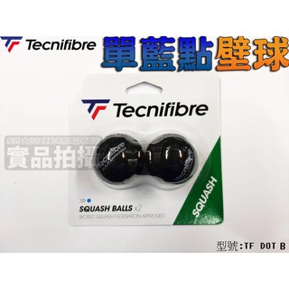 壁球 Tecnifibre 單藍點 入門級 初學者 練習球 兩入裝 大自在