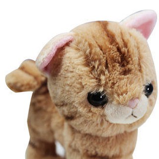 【CareShe 可而喜 】╭＊小貓玩偶 可愛貓咪療癒系絨毛娃娃/玩具-黃貓╭＊日本限量