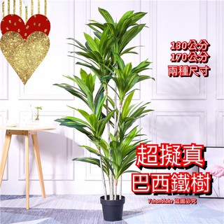 ❤️宅配免運費❤️北歐模擬樹 巴西鐵 室內裝飾 綠色植物大型擺件假花 綠植 盆栽 盆栽假樹 巴西鐵樹 假樹 假植物
