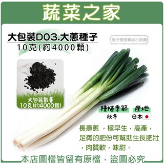 【蔬菜之家滿額免運】大包裝D03.大蔥種子10克(約4000顆)(長壽蔥 ，極早生，高產，足夠的肥份可幫助生長肥壯