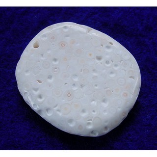 《※精品水晶※》能量至寶 - 龍宮舍利墜 Dragon Palace Relics Stone C210702