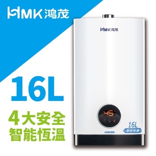 鴻茂強制排氣數位恆溫熱水器H-1601（16L天然氣)