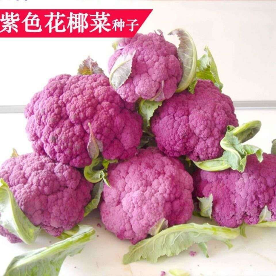 紫色花椰菜 優惠推薦 21年6月 蝦皮購物台灣