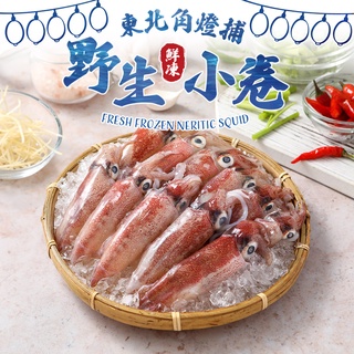 【享吃美味】東北角燈捕野生鮮凍小卷1包(300g±10%/盒) 滿$799免運