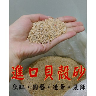 原裝20公斤 ★ 天然沙 貝殼砂 底砂 培菌 造景 園藝 石頭 砂石 沙子 魚缸 水族箱 裝飾 海貝沙 珊瑚砂