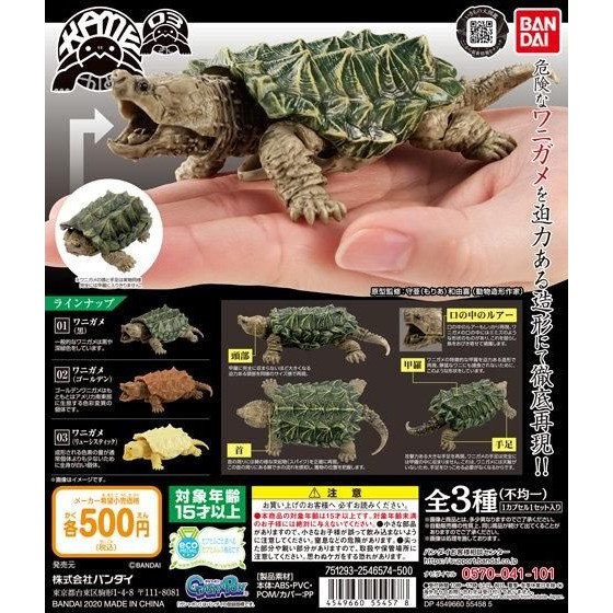 ✤ 修a玩具精品 ✤ 免運 日本正版 BANDAI 鱷龜環保扭蛋 全3款 烏龜 鱷龜 萬代