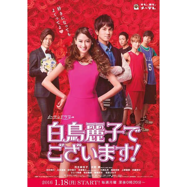 白鳥麗子日劇的價格推薦 21年8月 比價比個夠biggo