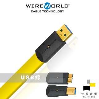 Wireworld Chroma 8 USB 3.0傳輸線｜公司貨｜佳盈音響