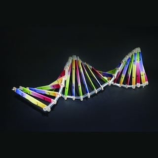 DNA分子模型 遺傳基因 dna 模型 diy 手作 生物 吸管 冰棒棍