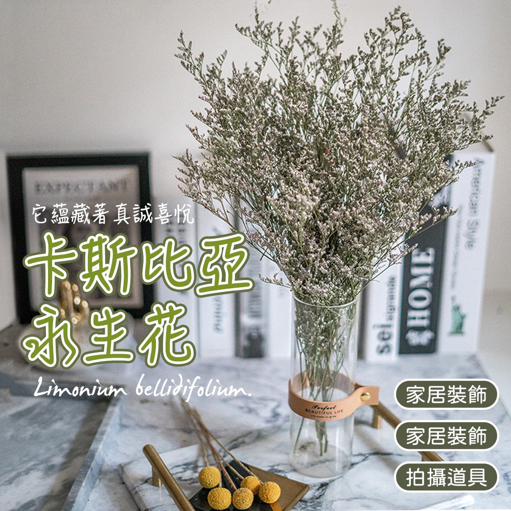 台灣現貨 卡斯比亞情人草乾燥花永生花勿忘我拍照道具攝影道具乾燥花材天然乾燥花束裝飾乾燥花束 蝦皮購物