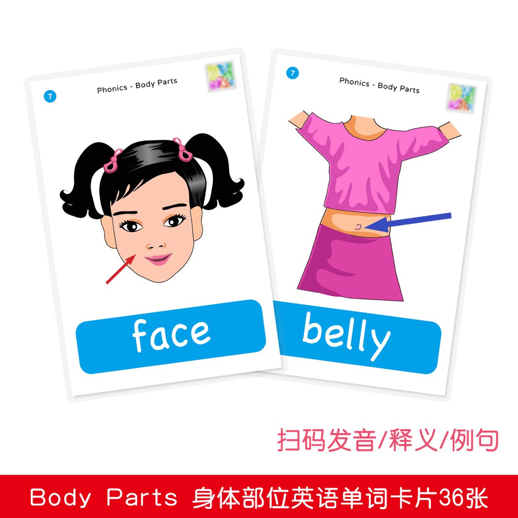 英語學習詞卡 Body Parts身體部位教具英語單詞卡片寶寶早教啟蒙幼兒英文閃卡塑 蝦皮購物