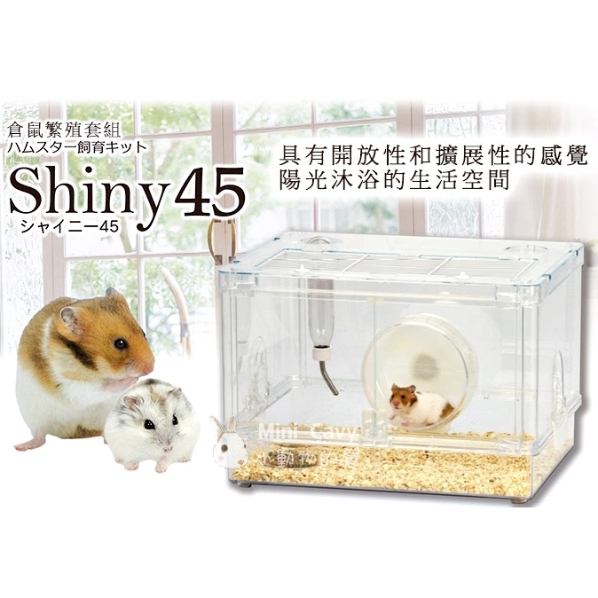 Mini Cavy♥  麗利寶LillipHut 閃耀之星鼠籠 配備屋 / 毛胚屋 鼠籠 麗利寶2100 麗利寶2101