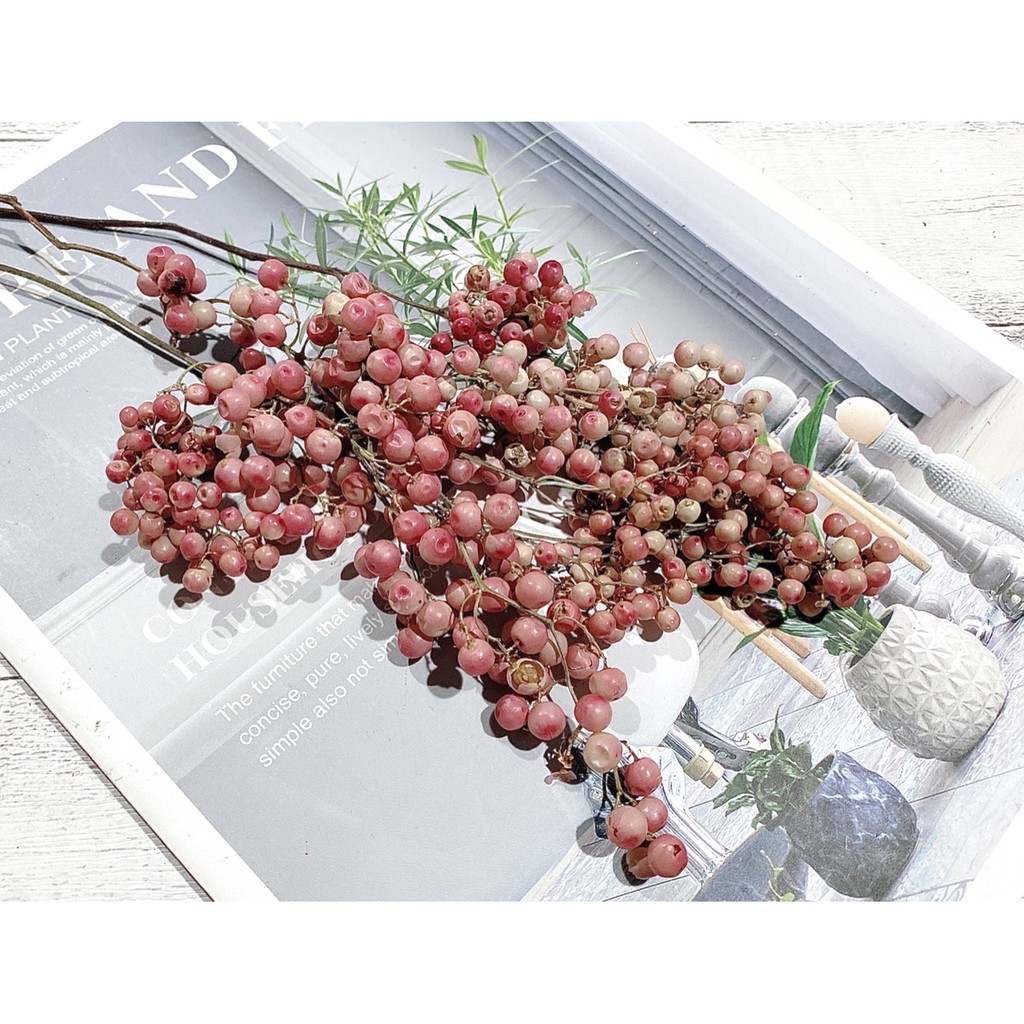 夏 花charice Flora 乾燥花 乾燥花材 手作素材 乾燥花素材 不凋花 永生花 胡椒果 胡椒漿果 蝦皮購物