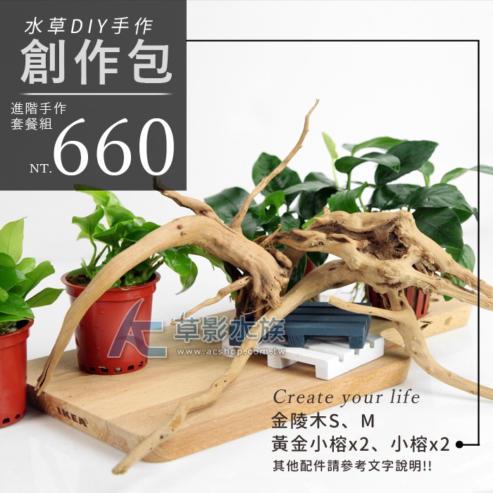 Ac草影 Diy手作進階的您創作包 套餐 一組 Diy裝飾魚缸飾品水族擺飾 蝦皮購物