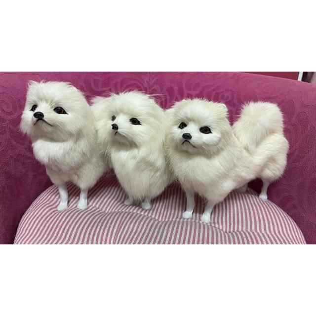 仿真博美博美犬白博美黃博美博美狗博美狗娃娃博美公仔紀念狗寶貝仿真動物情人節禮物交換禮物 蝦皮購物