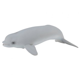 COLLECTA動物模型 - 幼白鯨 < JOYBUS >