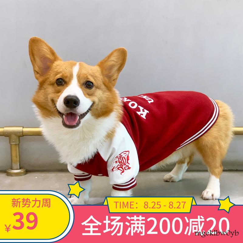 台灣犬棒球 Ptt Dcard討論與高評價網拍商品 21年10月 飛比價格