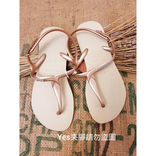 ～現貨24h出貨～Yes夾腳 havaianas 哈瓦仕 T字涼鞋 夾腳涼鞋 金