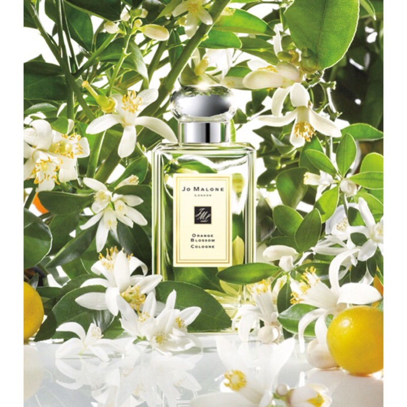 🇹🇼昇恆昌/日本免稅🇰🇷Jo malone 100ml 橙花/雞蛋花/緬梔花/紅玫瑰/藍風鈴/英國梨/橙花/