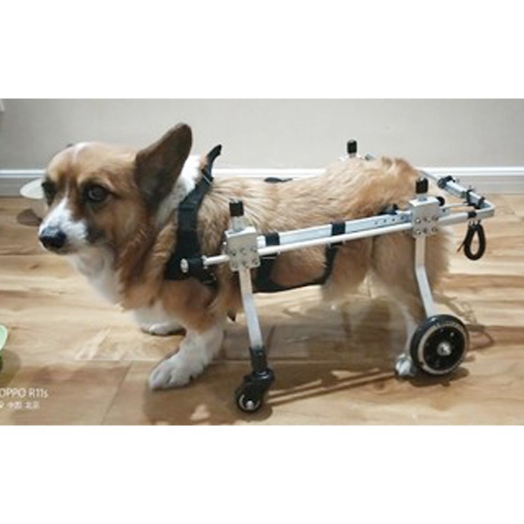 小中大型犬貓咪適用四輪狗輪椅寵物後肢殘疾癱瘓康復輪椅狗康復車動物輔助支架四輪代步車 蝦皮購物