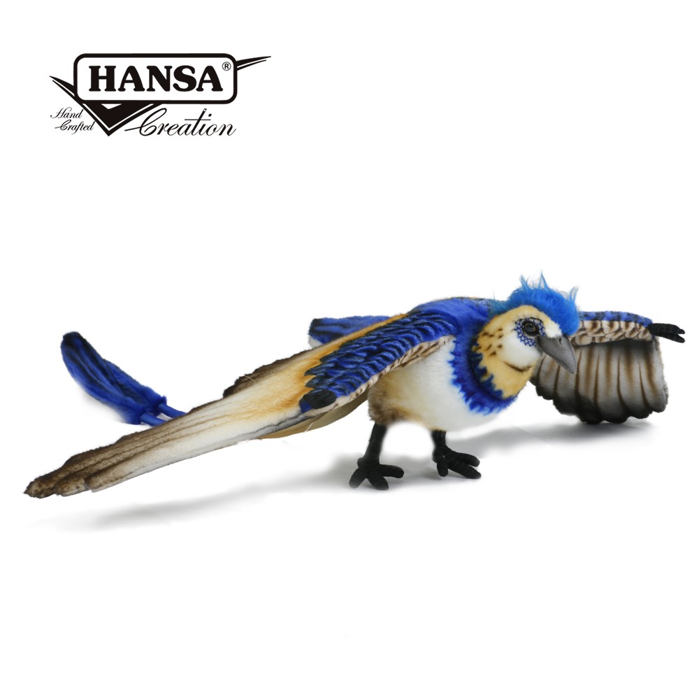 Hansa 7386-孔子鳥62公分長