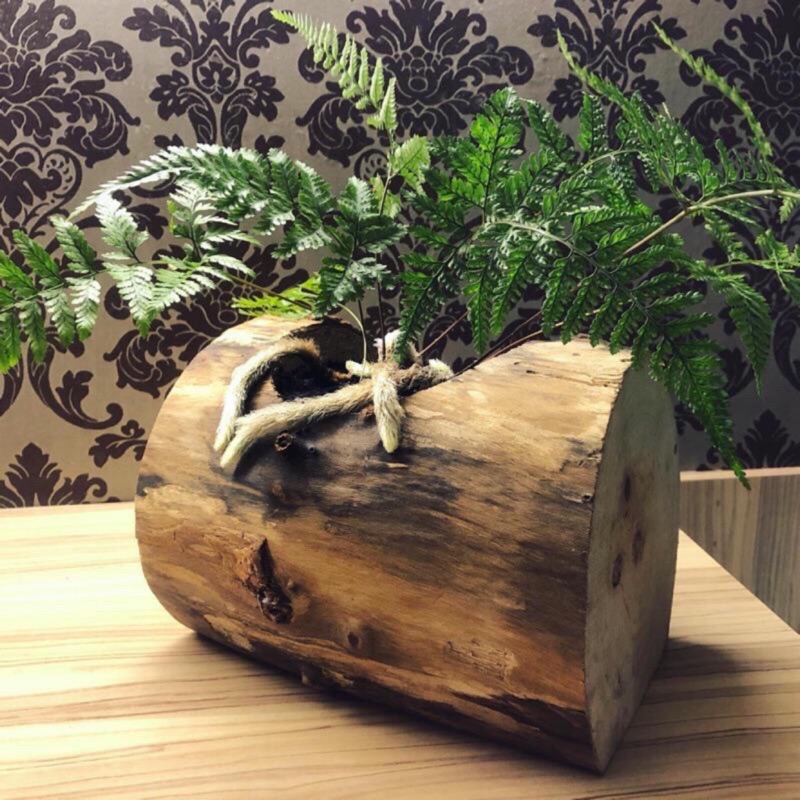 花盆花器盆栽木頭園藝擺設擺飾天然材料 出清中 蝦皮購物