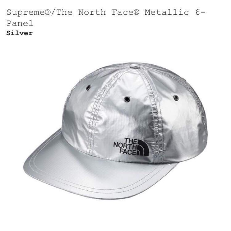 supreme the north face silver