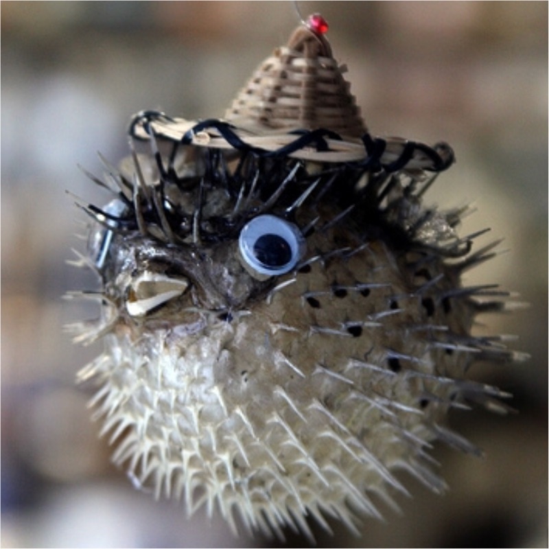 墾丁一大一小河豚標本吊飾 蝦皮購物