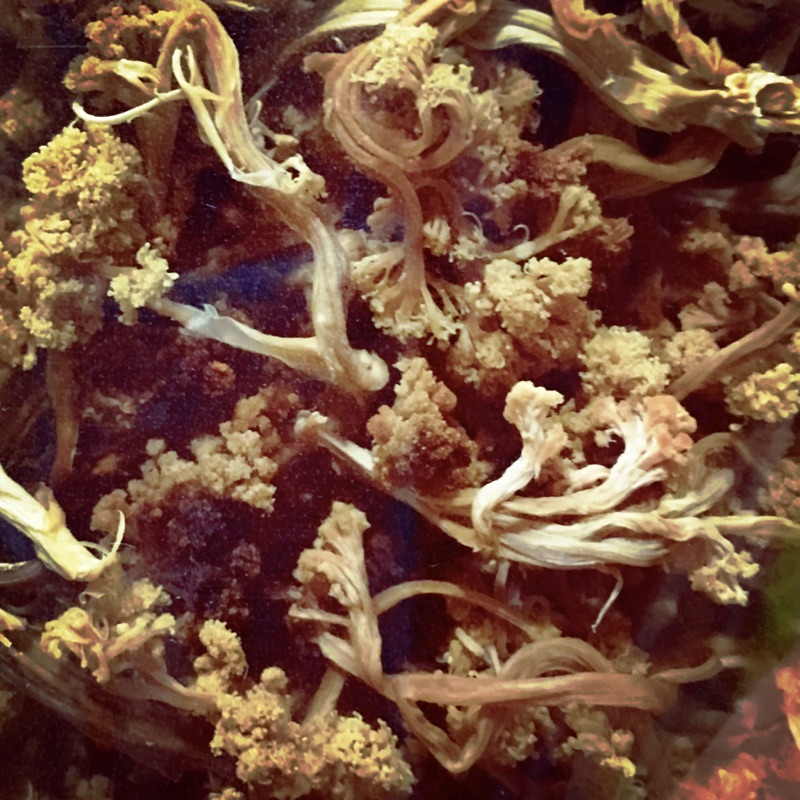 白花椰菜乾 蝦皮購物