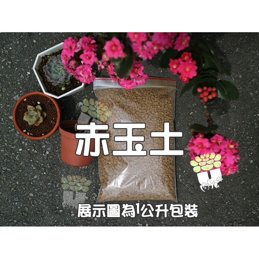 赤玉土小粒 拍賣 評價與ptt熱推商品 21年5月 飛比價格