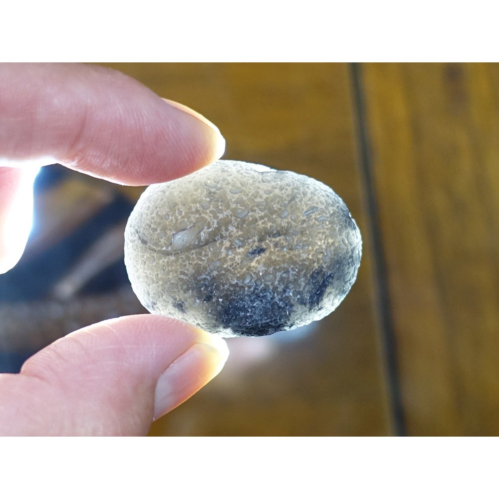 §能量礦石§ 亞利桑那隕石Saffordite Arizona天狼星隕石 重20.44g